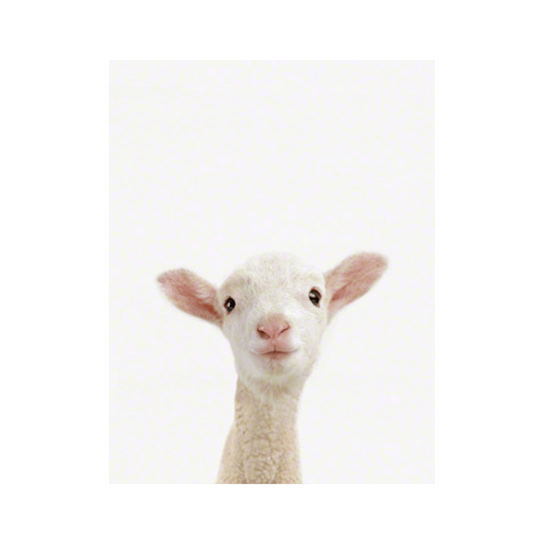 Lamb Little Darling Print - 8.5" X 11"