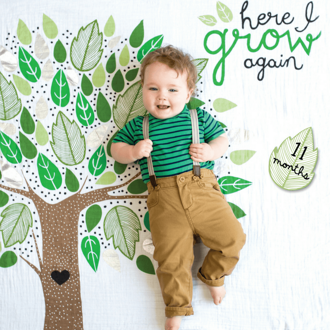 Here I Grow Again Milestone Blanket And Card Set