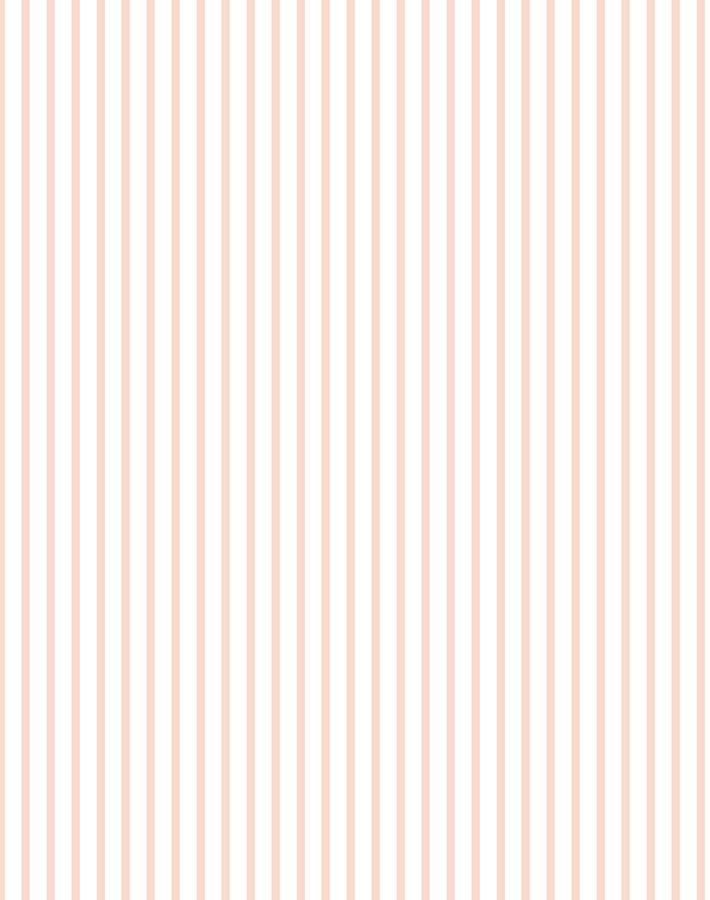 Pinstripe Wallpaper - Traditional / Roll / Pink