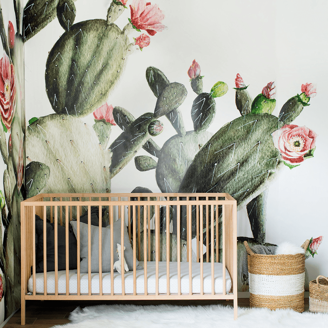 Prickly Pear Cactus Wallpaper Mural - Self-adhesive Vinyl Wallpaper