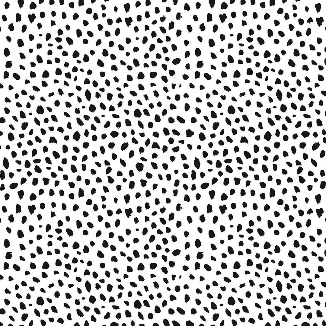 Aspyn Spots  Wallpaper  Black  and White  Spot  Wallpaper  