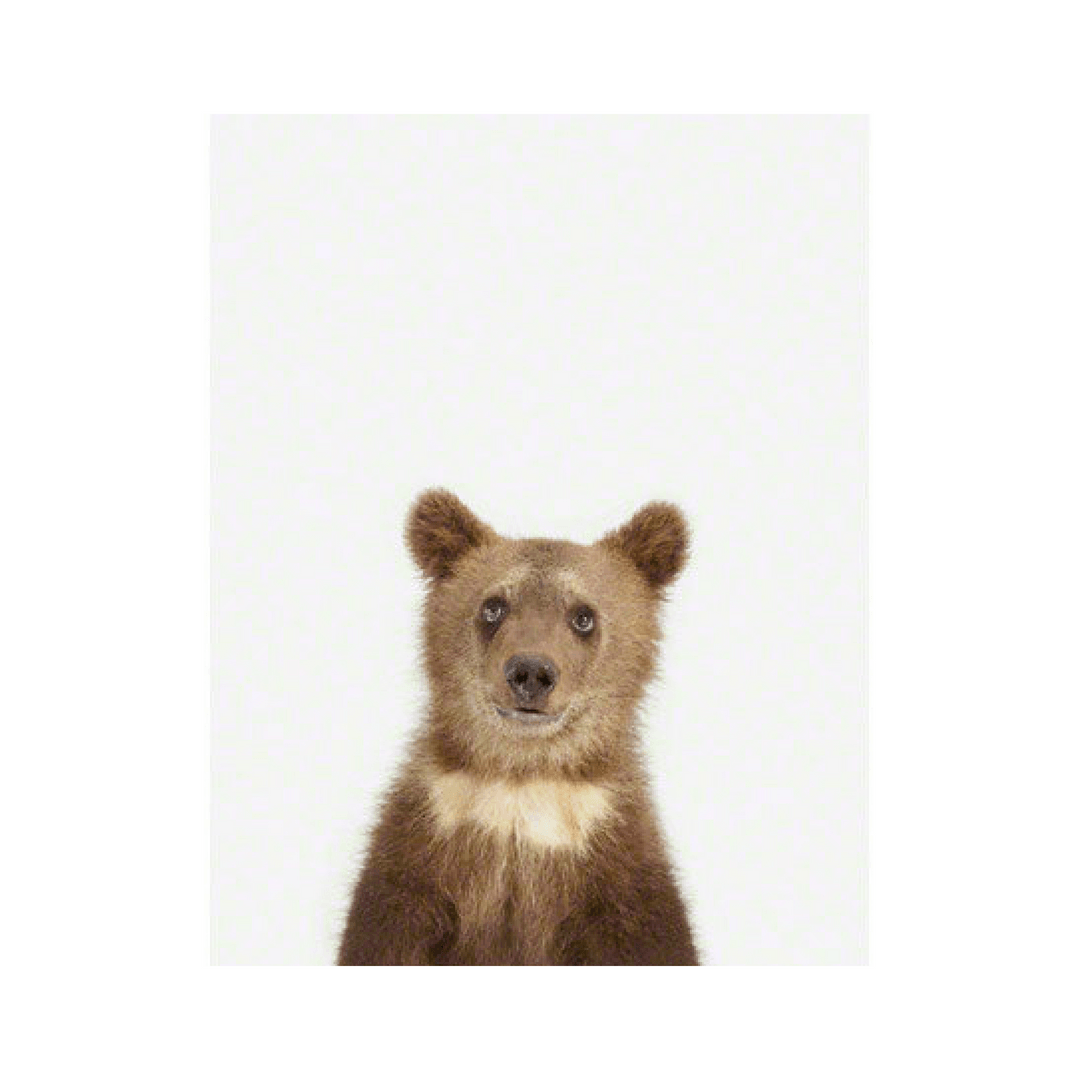 Bear Cub Little Darling Print - 8.5" X 11"