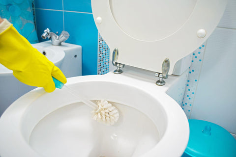 A woman cleans a bathroom toilet with a scrub brush