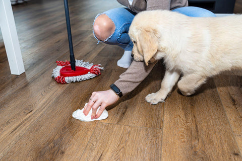 A woman wiping piss on a puppy off modern water resistant vinyl panels