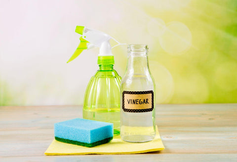 Chemical free home cleaner products concept.