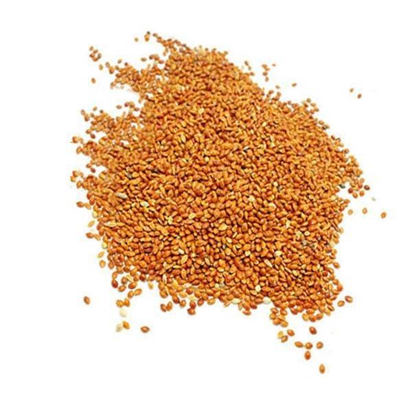 Siberian Millet - Global Pigeon Supplies product image