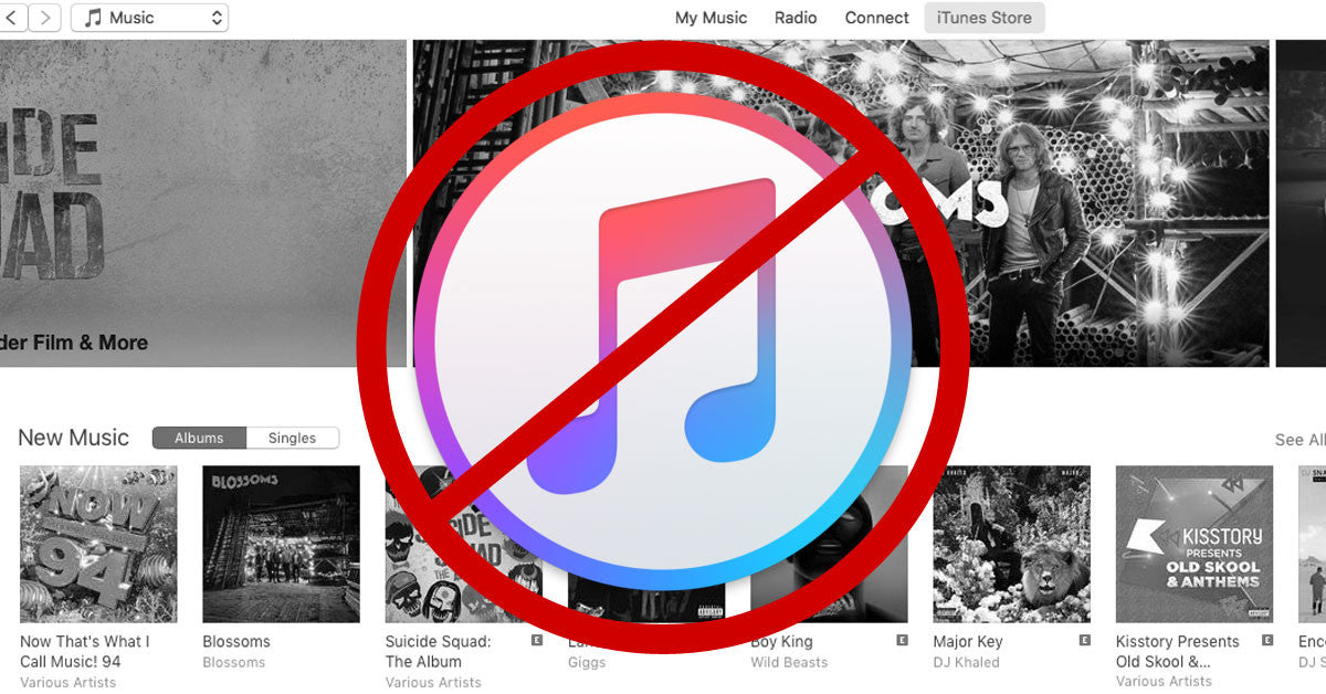 no photos in itunes