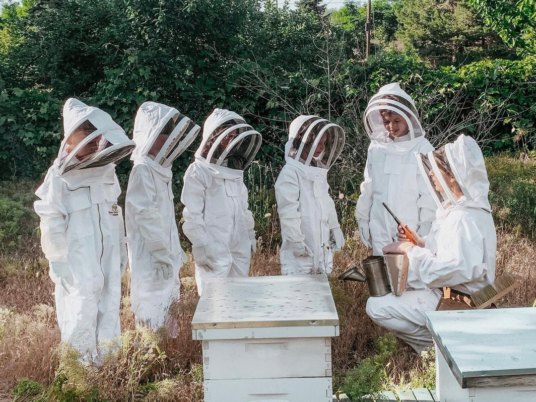 How to start beekeeping - @mckayjo
