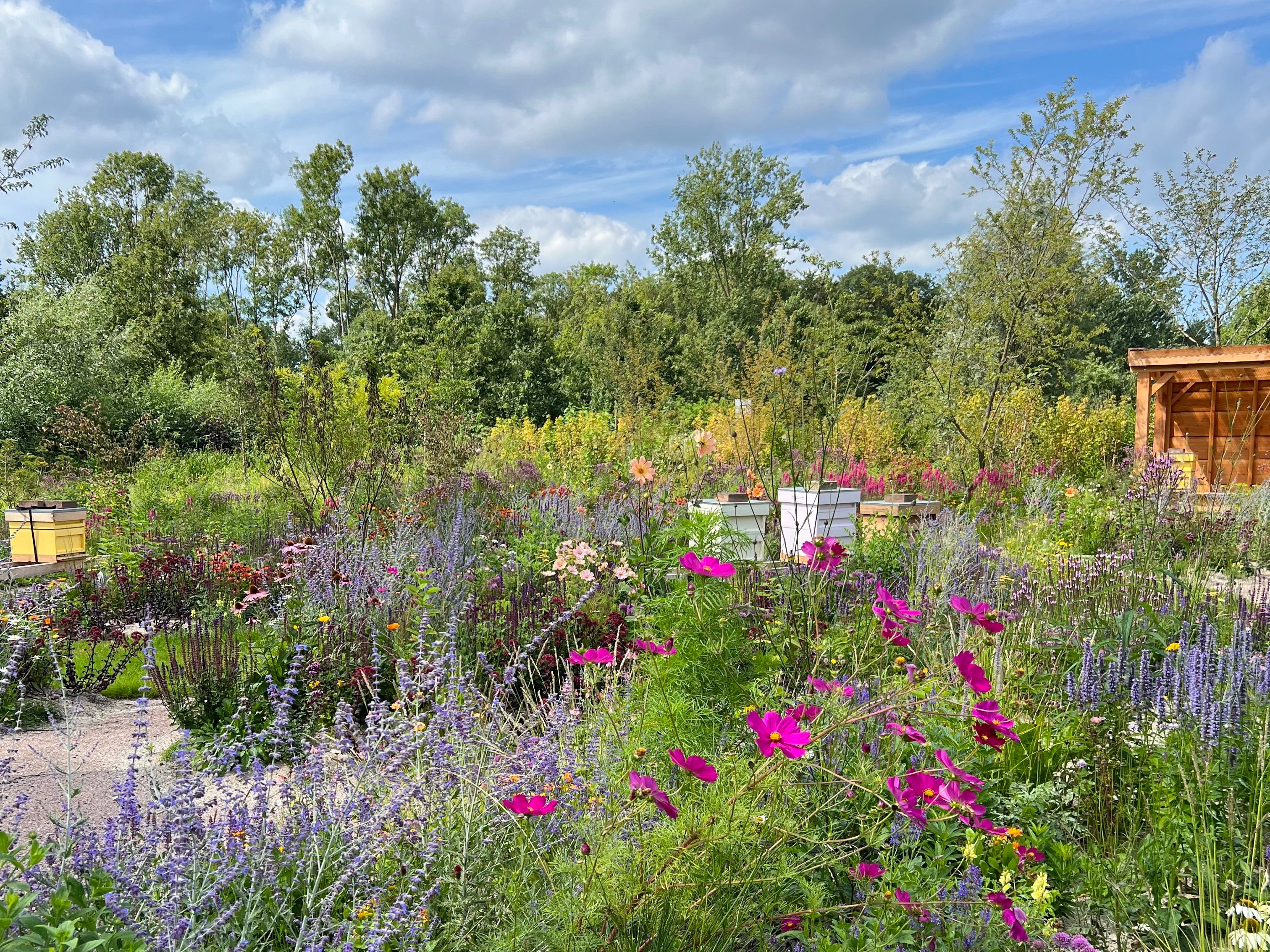 The New Mirsalehi Bee Garden