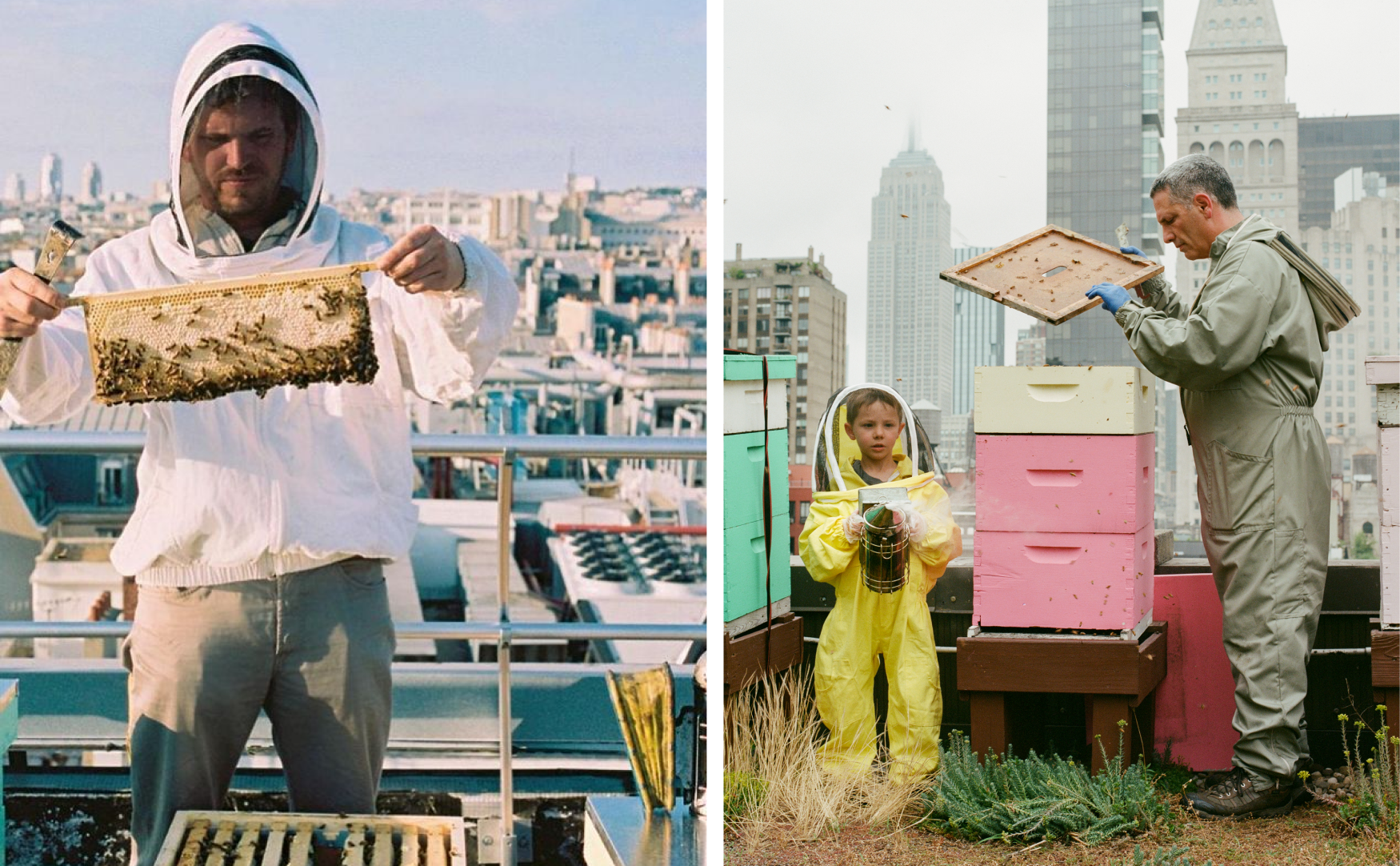 Gisou Bees Project Paris & New York