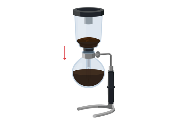 coffee brewing in a hario syphon technica