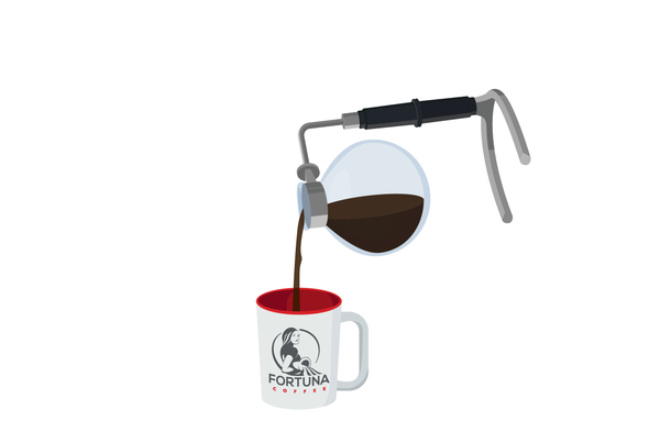Hario Syphon technica pouring coffee into a Fortuna Coffee mug
