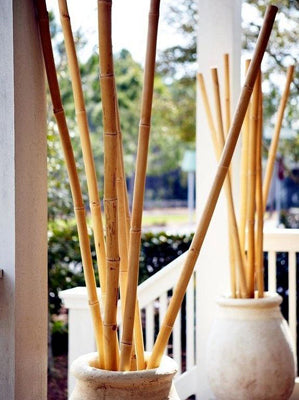 Idées de Décoration en Bambou