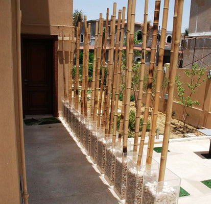Idées de Décoration en Bambou