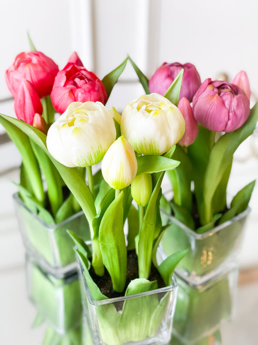 pink and white tulips in a vase