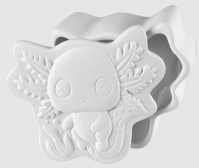Axolotl Box
