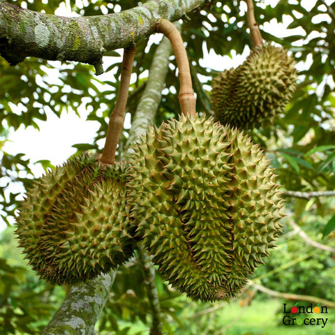 buy durian fruit online uk | London Grocery Online