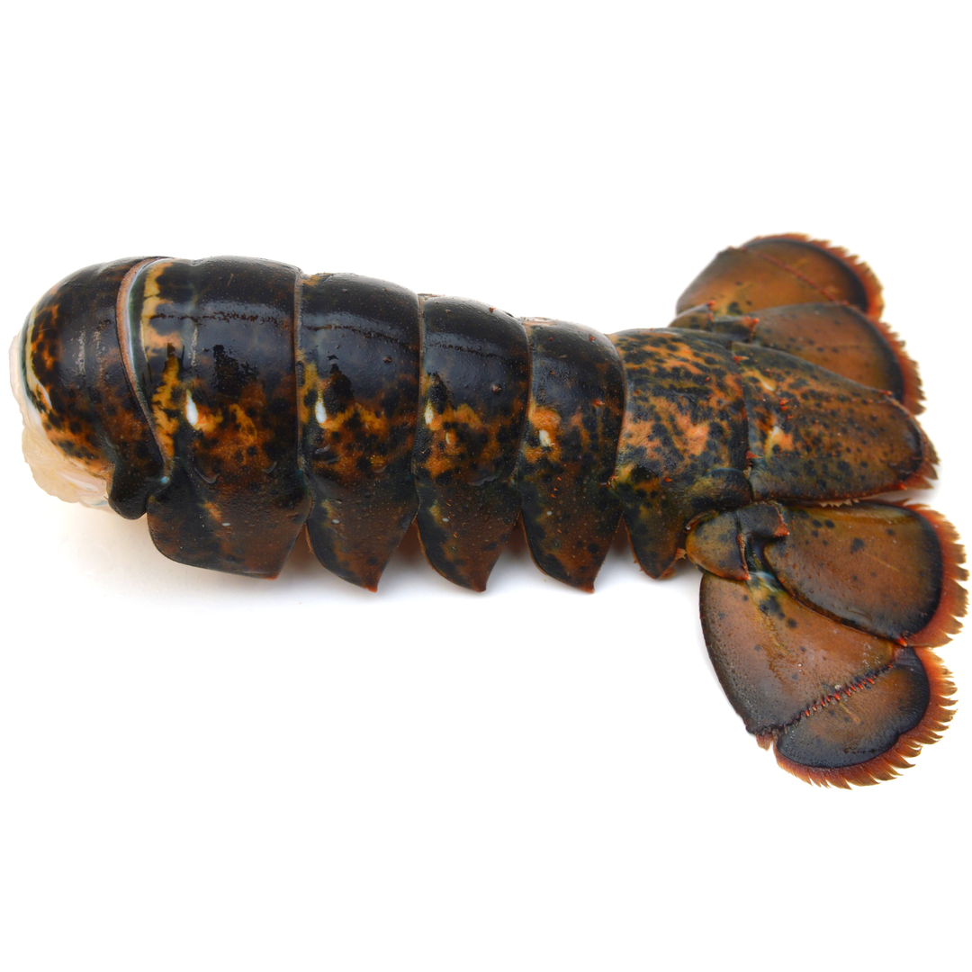 Crayfish Tail | Tropical and rare fruits, premium local vegetables and meat