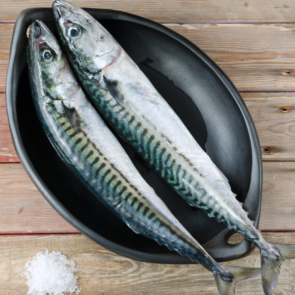 Mackerel Fish Delivery London | London Grocery Online