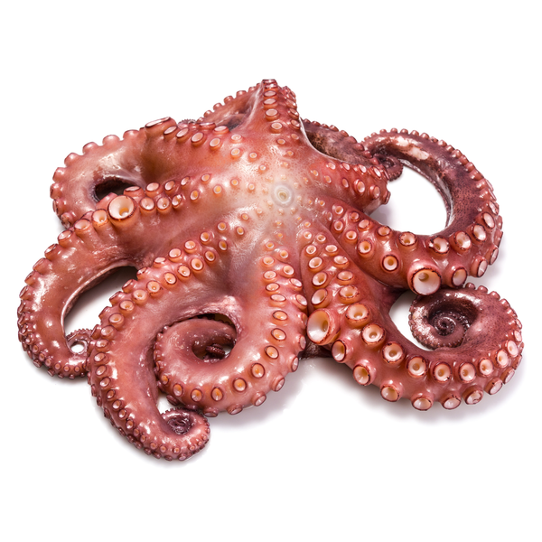 Fresh Octopus Whole 750 gr | Tropical and rare fruits, premium local