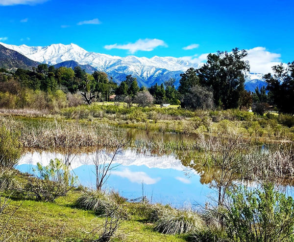 Ojai Meadows Preserve