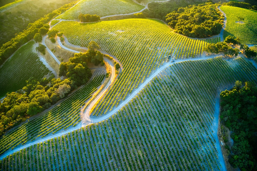 パソロブレス Paso Robles San Luis Obispo サン・ルイス・オビスポ