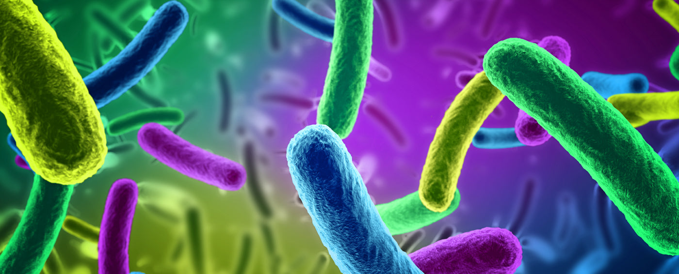 Tiny But Mighty: The Microbiome article banner
