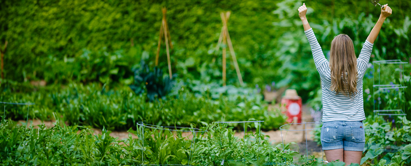 Stretches for Gardeners article banner