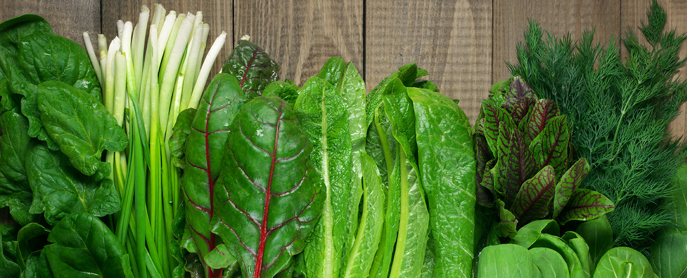 15 Leafy Greens You Should Try article banner