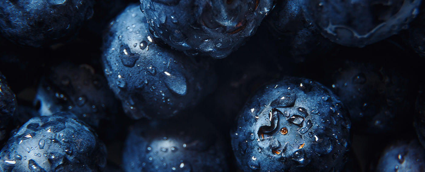 Blueberries: Blue Heaven article banner