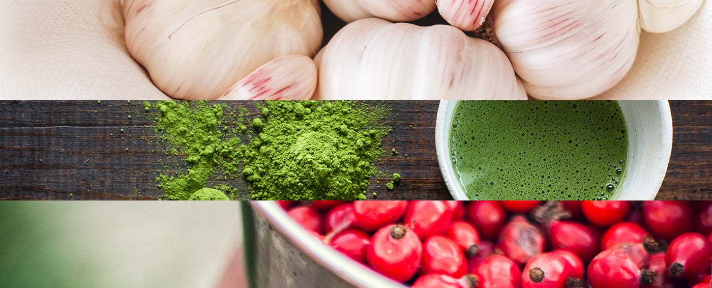 Kitchen Immunity: Garlic, Green Tea and Cranberry article banner