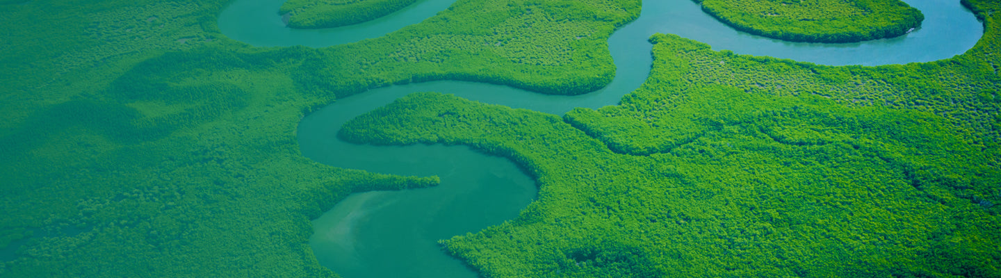 OUR PARTNERS banner image displaying a panoramic view of river surounded by forest