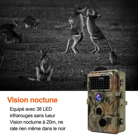 Vision nocture