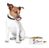 Hundskål - Jack Russell Terrier