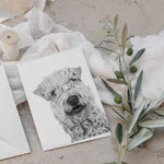 Vykort - Soft Coated Wheaten Terrier