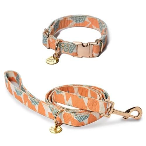 Dog Collars, Designer Pet Accessories