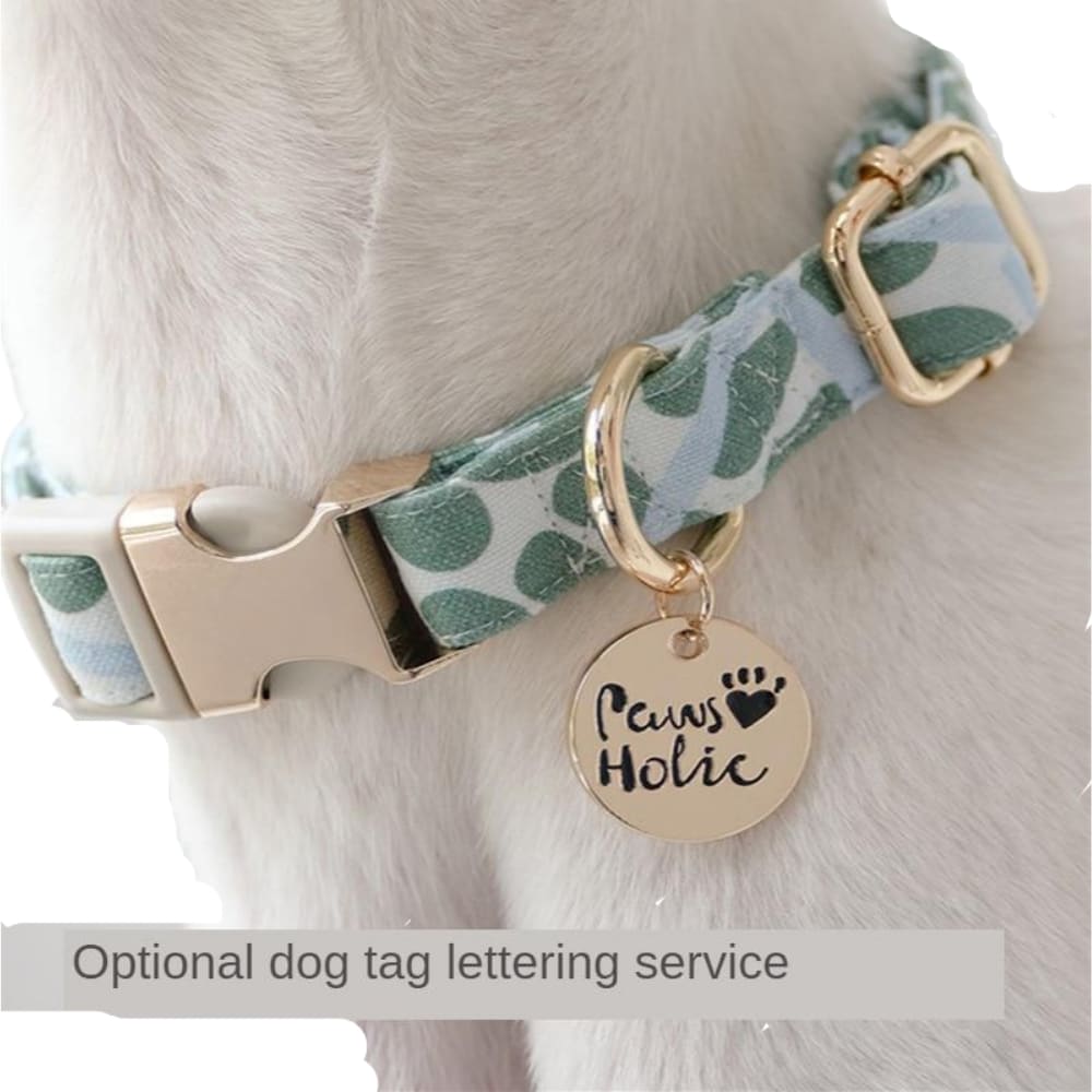 Dog Collar & Leads