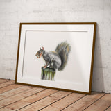 Grey Squirrel by Tup Designs & Wil Shrike