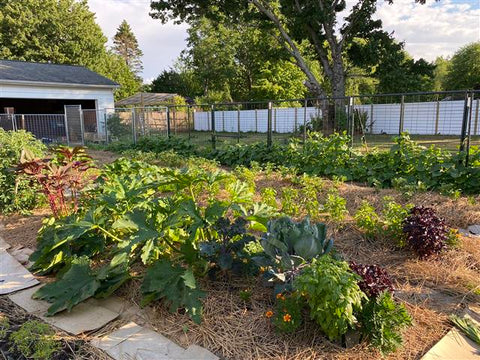 Lasagna garden