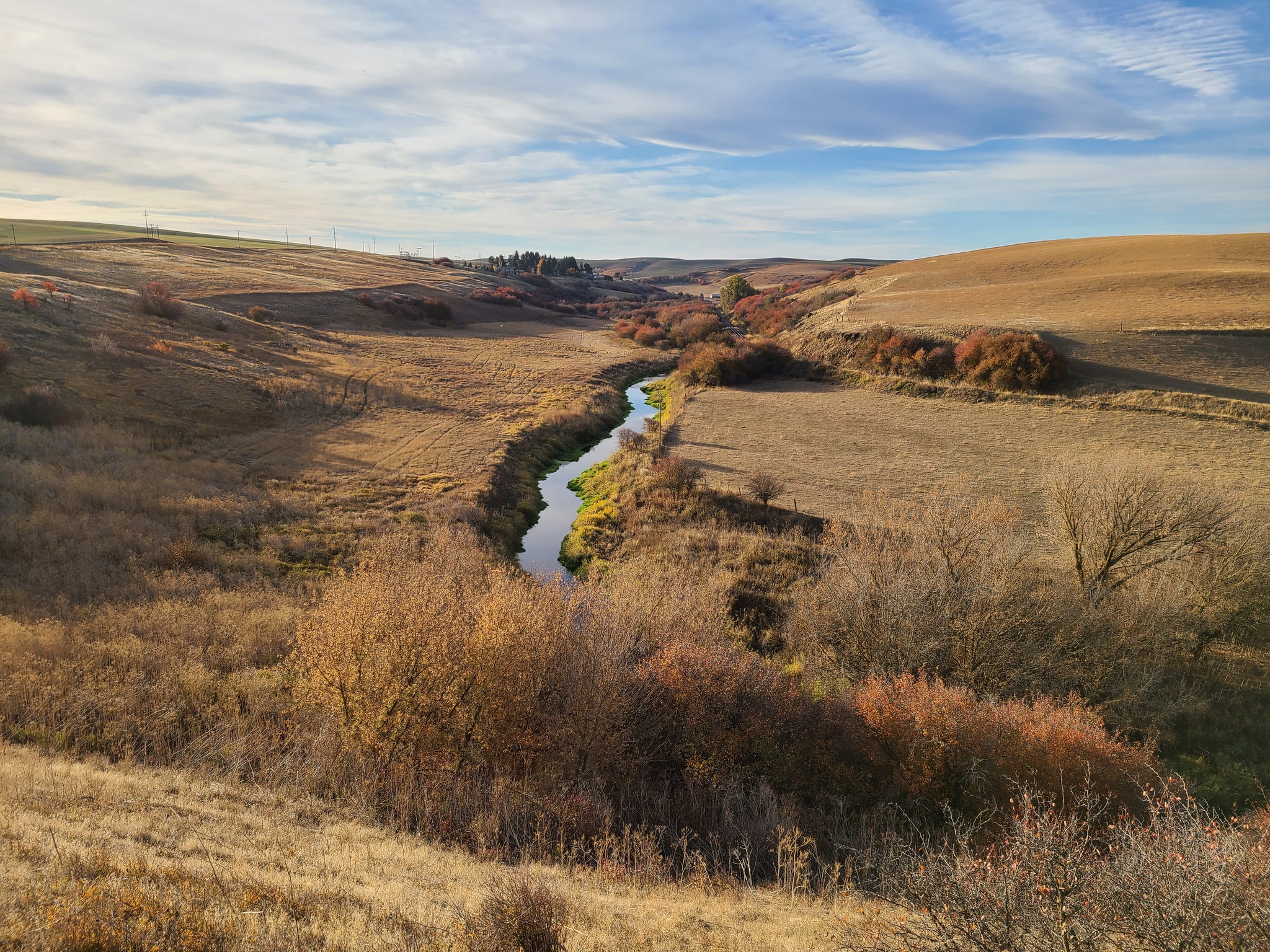 RifleCraft hunting area in the Palouse hills