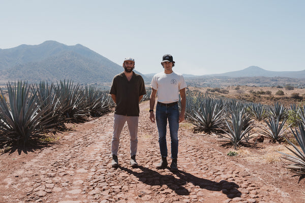 JuneShine founders standing in agave fields
