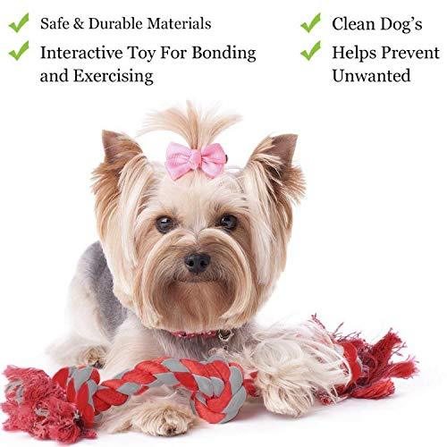 dog rope toys safe