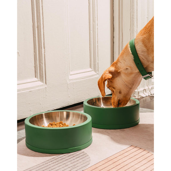 Wild One Pet Food Bowl