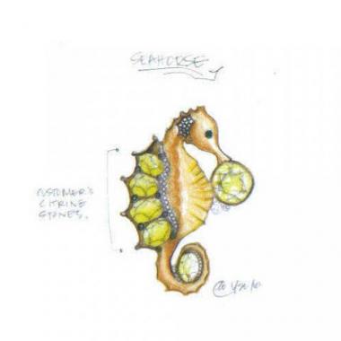Seahorse Pin - Week 1 - Mark Schneider Design