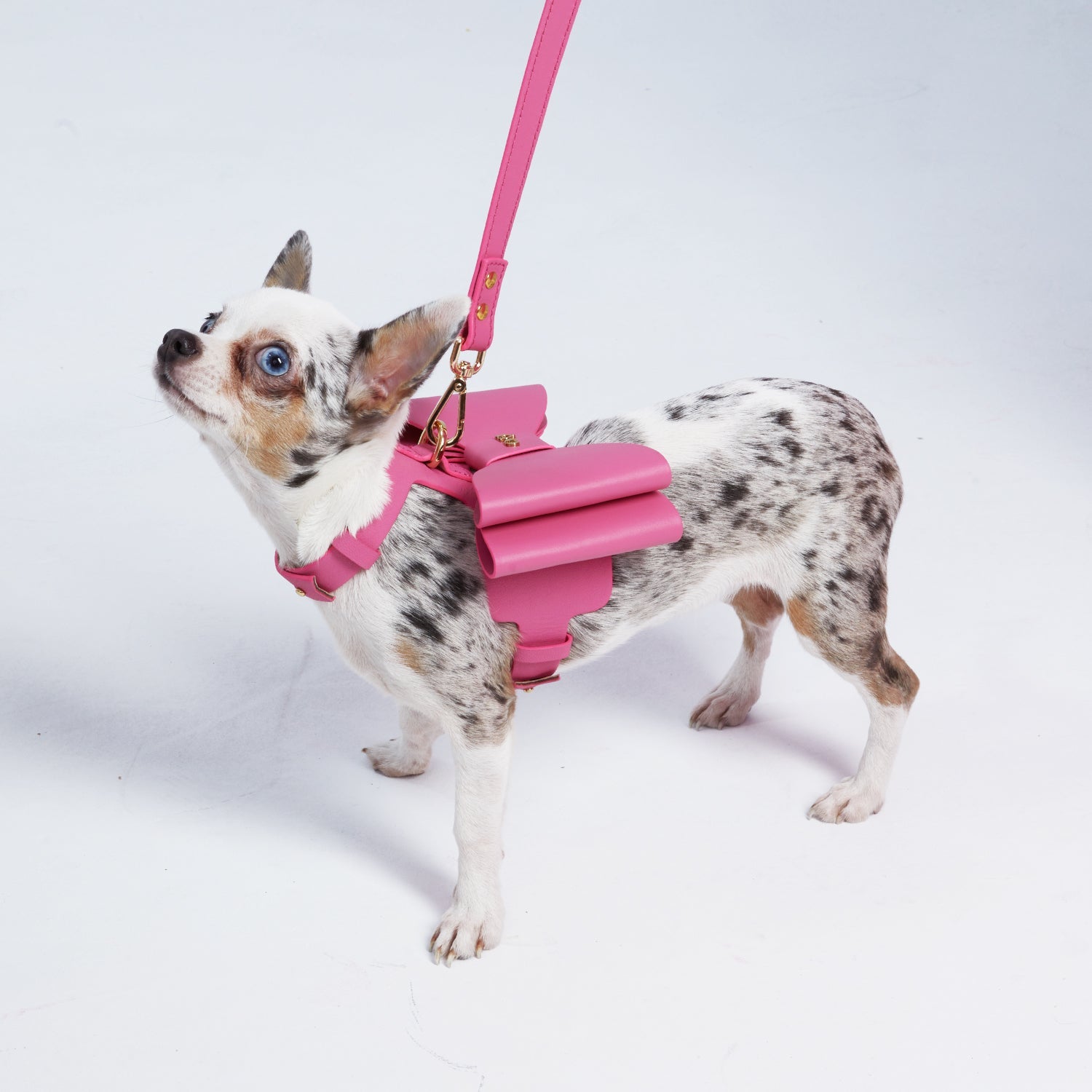 Metapink Bow Dog Harness by Moshiqa - Paris Hilton Shop product image