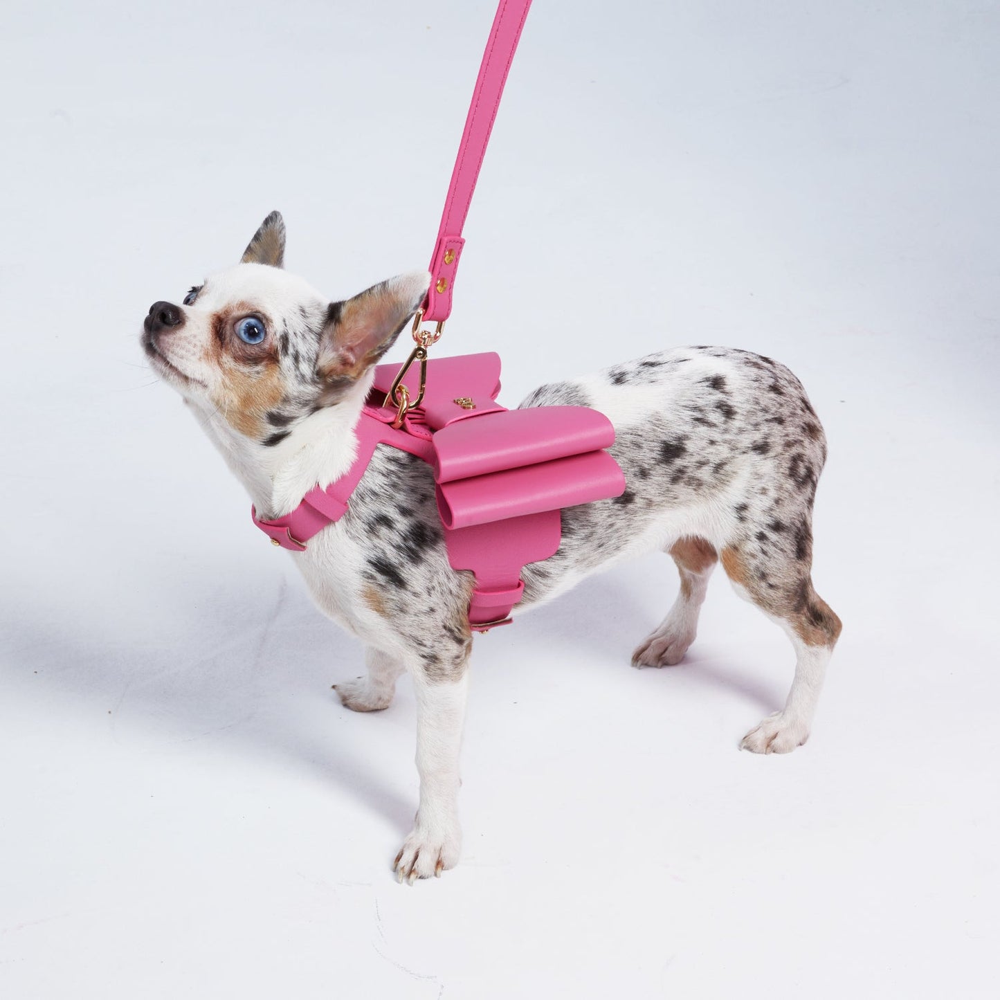 Paris Luxury Dog Carrier – Paw Roll