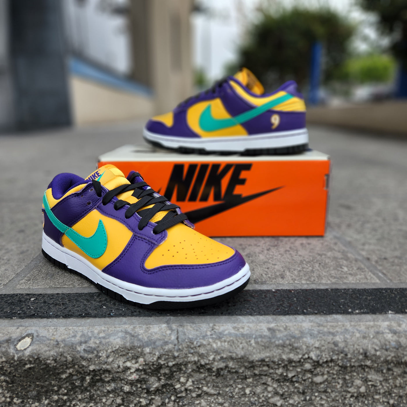 W NIKE DUNK LOW LL リサレスリー 24.5-