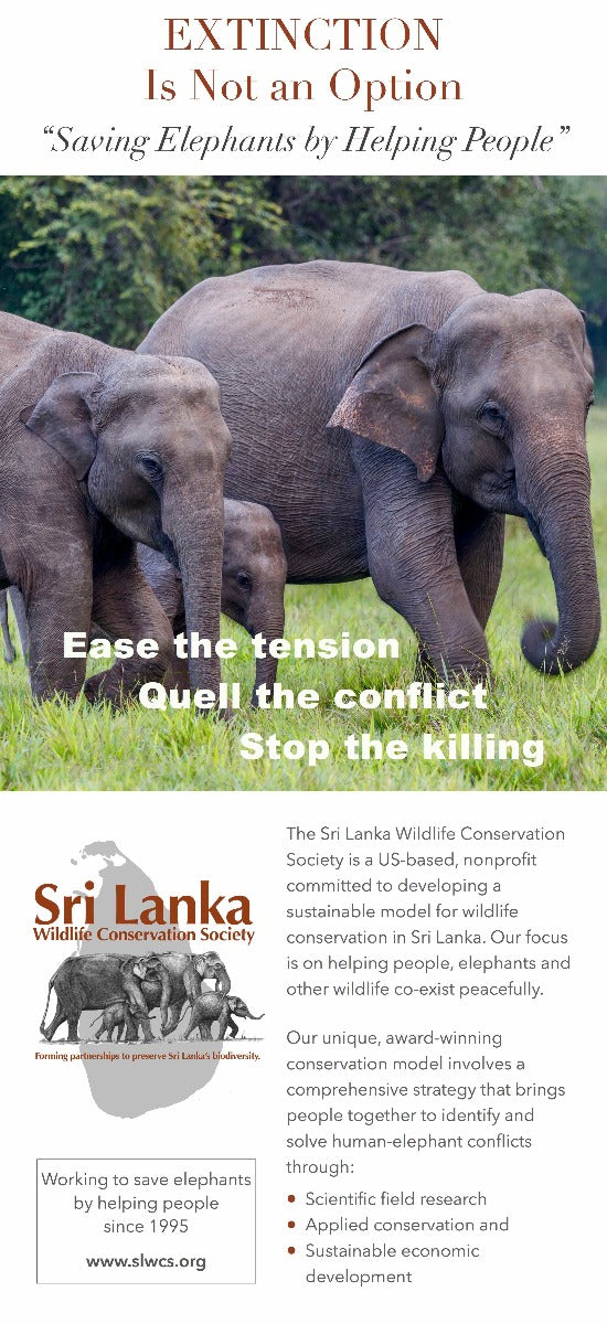 Elephants walking in Sri Lanka, text describing what the Sri Lankan Wildlife Society does to help 