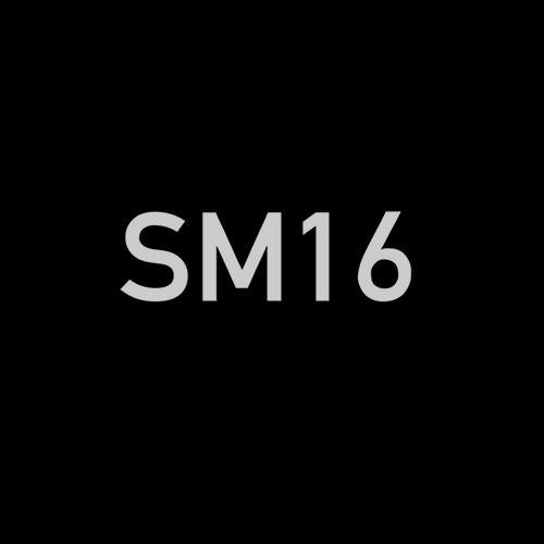 SM16 [Statomentale16]
