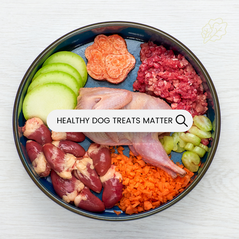 Slobber Chops Dog Treats- Importance of a healthy diet